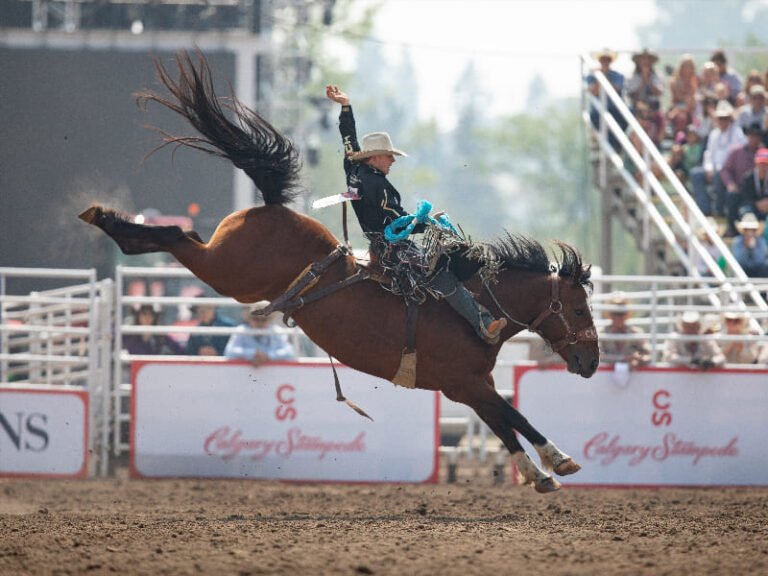 Counting Calories: Stampede’s New Midway Treats in Calgary 2012